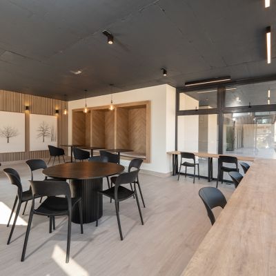 Galeria-Ñipa-12